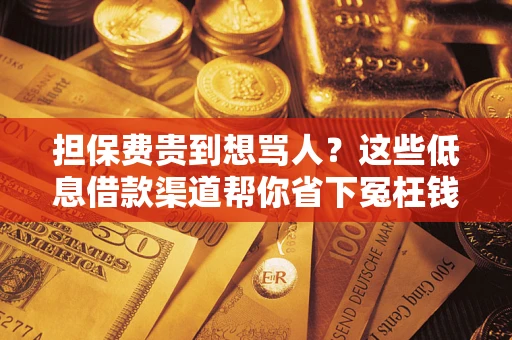 北京担保费贵到想骂人？这些低息借款渠道帮你省下冤枉钱