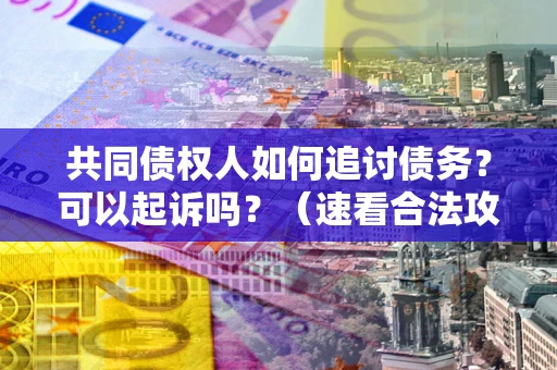 北京共同债权人如何追讨债务？可以起诉吗？（速看合法攻略）