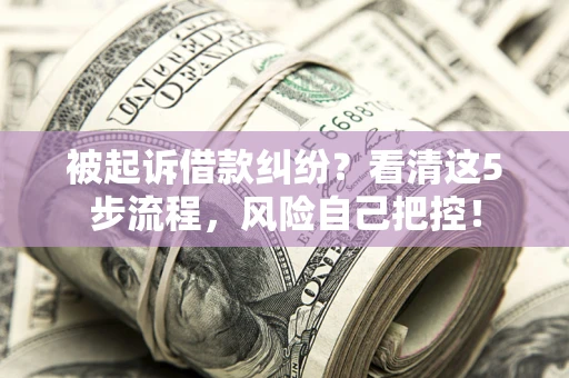 北京被起诉借款纠纷？看清这5步流程，风险自己把控！