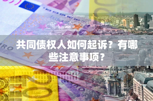 北京共同债权人如何起诉？有哪些注意事项？